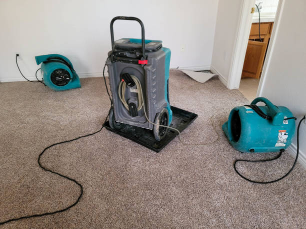  Wadley, GA Water damage restoration Pros