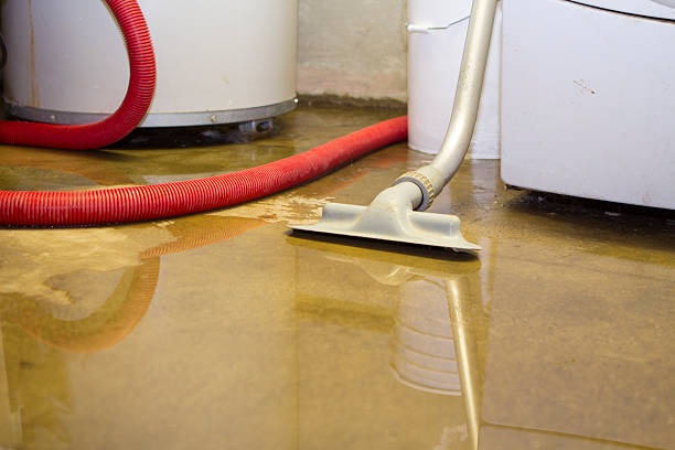 Best Water damage restoration near me  in Wadley, GA
