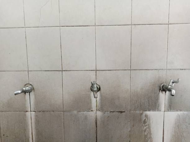Best 24-hour water damage restoration  in Wadley, GA