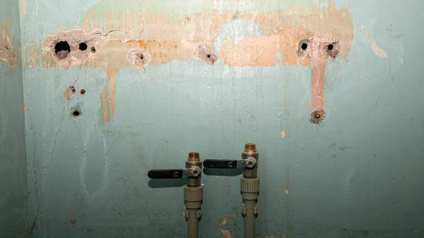 Best Flooded house restoration  in Wadley, GA