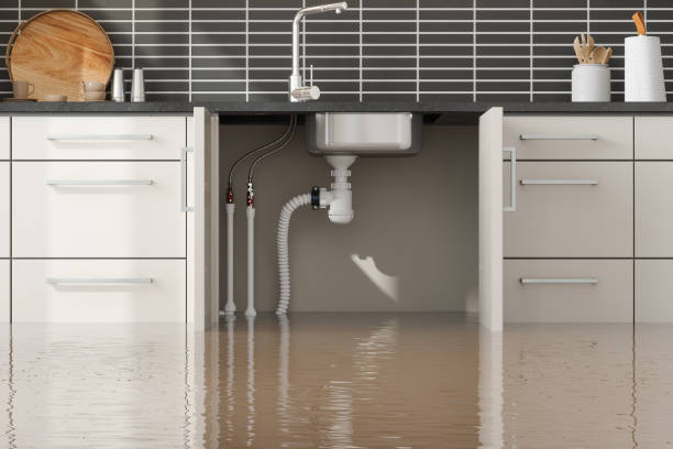 Best Professional water damage repair  in Wadley, GA